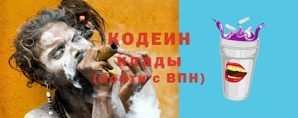 твердый Туринск