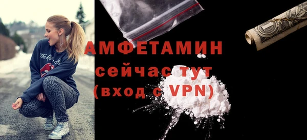 молекула духа Вязьма