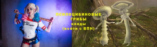 твердый Туринск