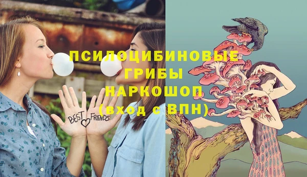 прущие крисы Тында
