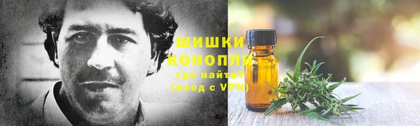 молекула духа Вязьма