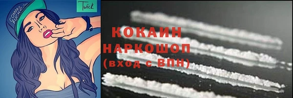 твердый Туринск