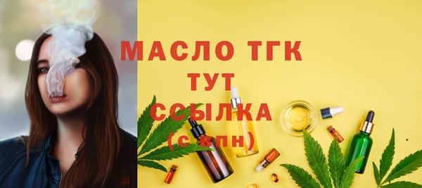 твердый Туринск