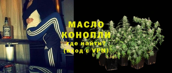 твердый Туринск