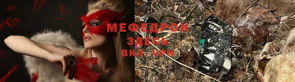 прущие крисы Тында